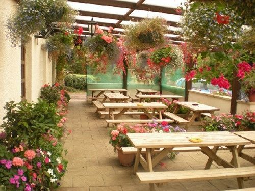 The Flying Fish Stables Hotel Ilminster Kültér fotó
